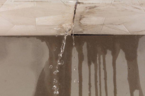 Professional Flood Damage Cleanup technician working in Bingham Canyon, UT
